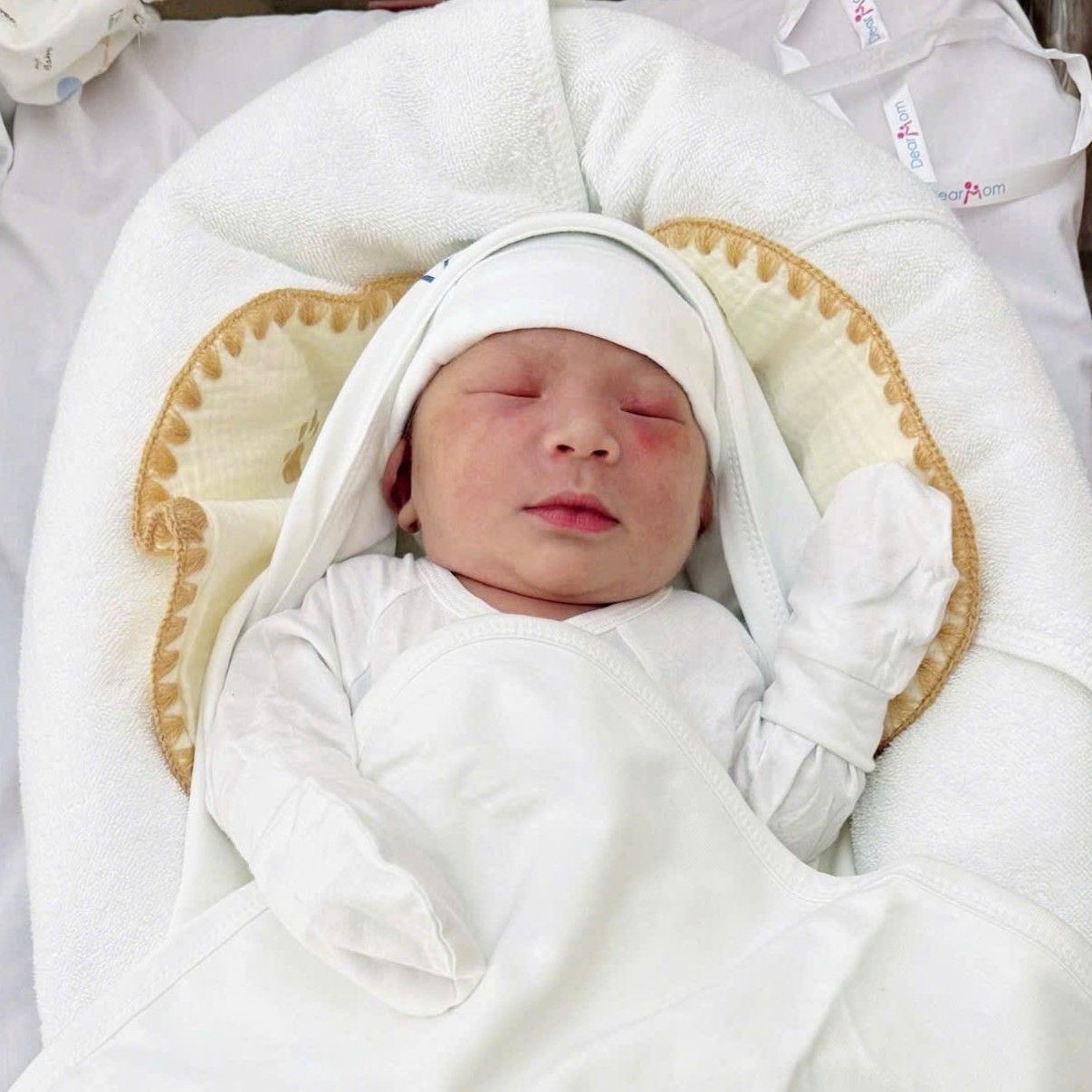 Em bé HP Fertility