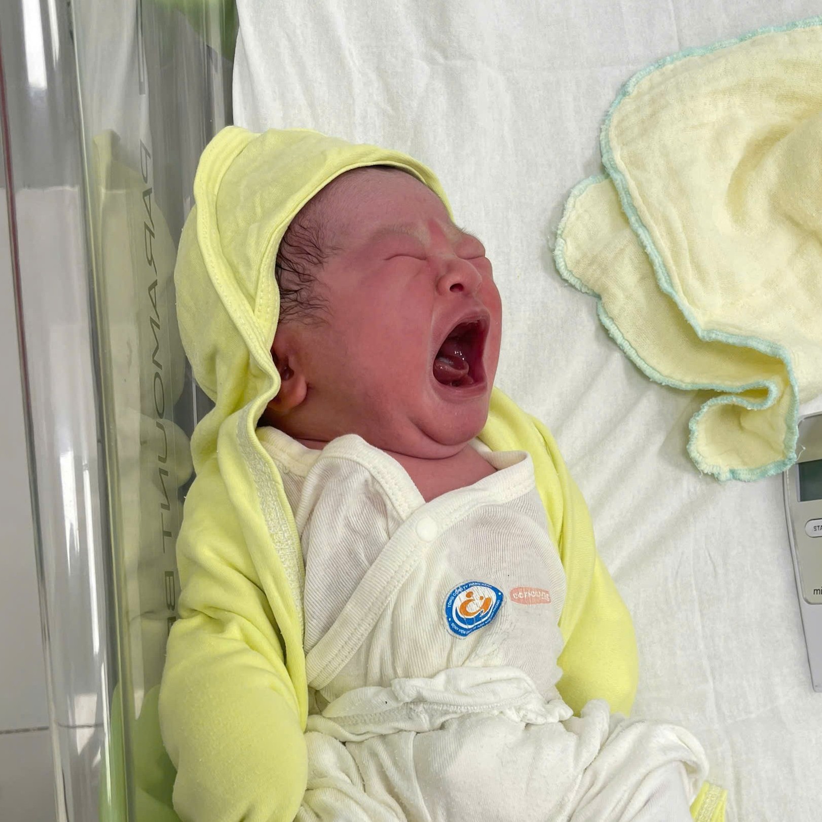 Em bé HP Fertility
